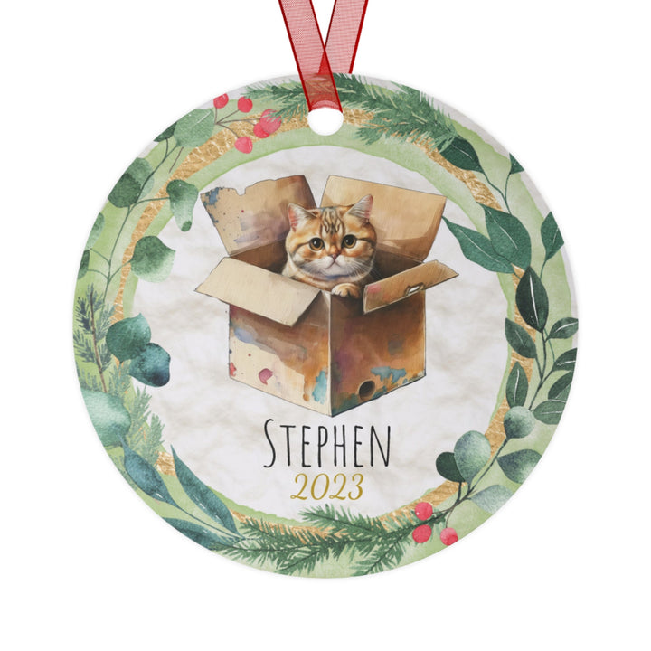 Cat In Box Christmas Ornament, Ceramic, Funny Personalized, Tree Decoration 6