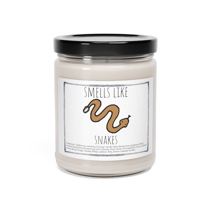 Snake Reptile - 9oz Soy Candle, Birthday,  Friend, Birthday Gift, Men Women