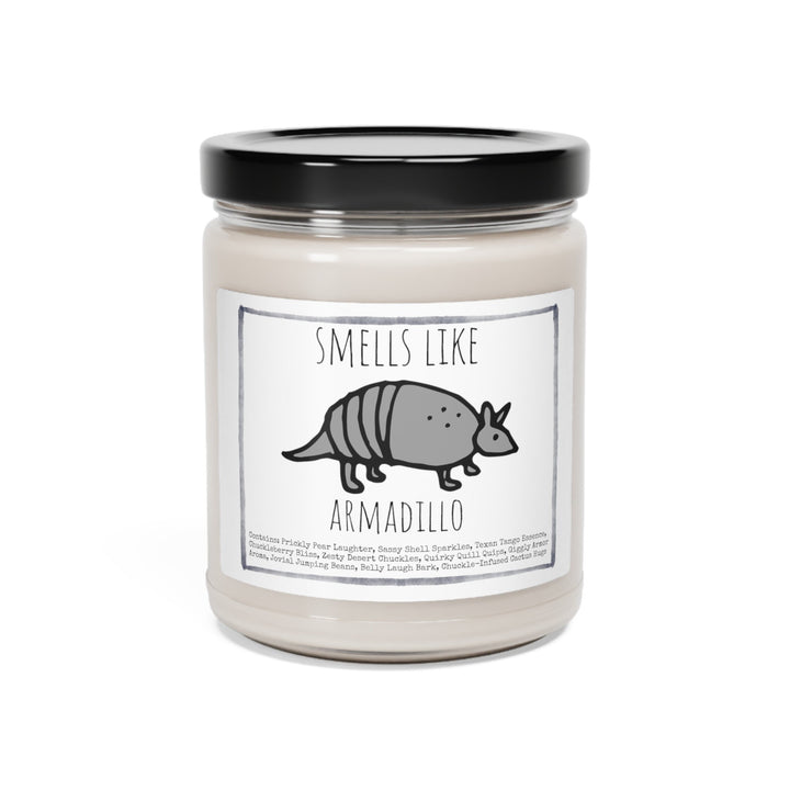 Armadillo Desert - 9oz Soy Candle, Birthday,  Friend, Birthday Gift, Men Women