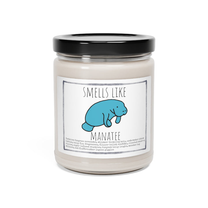 Manatee - 9oz Soy Candle, Birthday,  Friend, Birthday Gift, Men Women